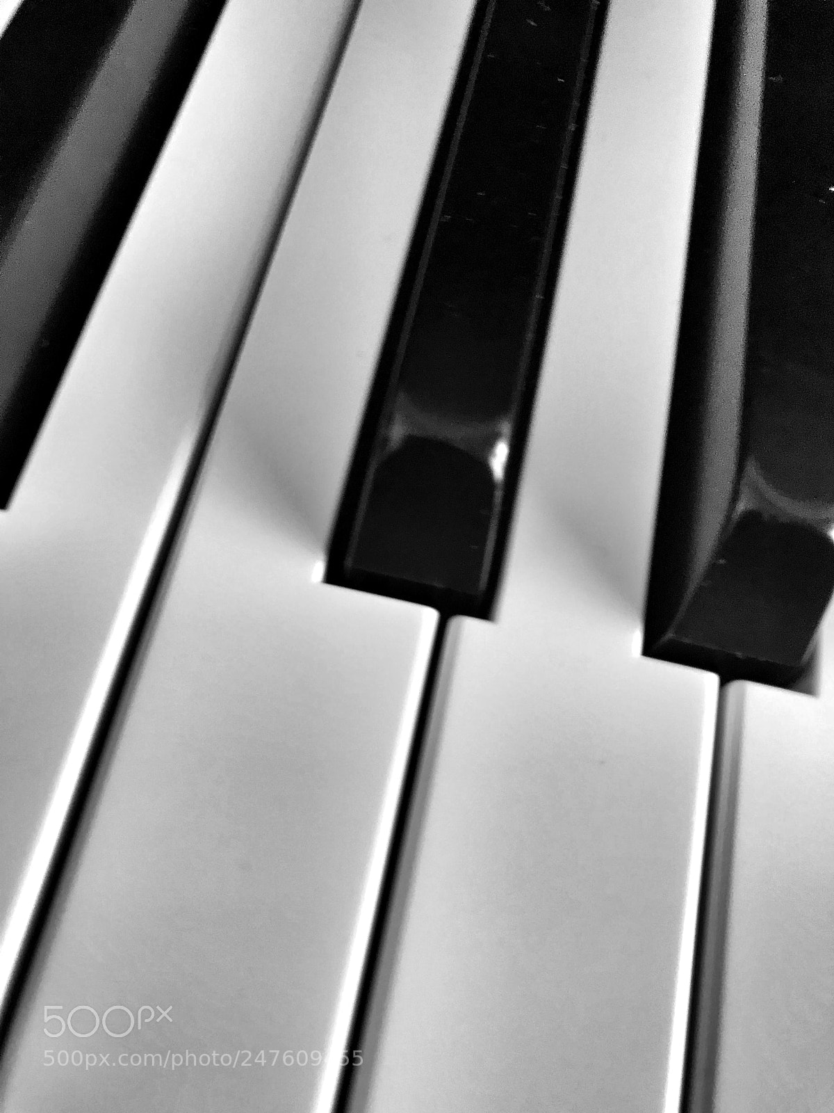 Apple iPhone 7 sample photo. Elegant instrument photography