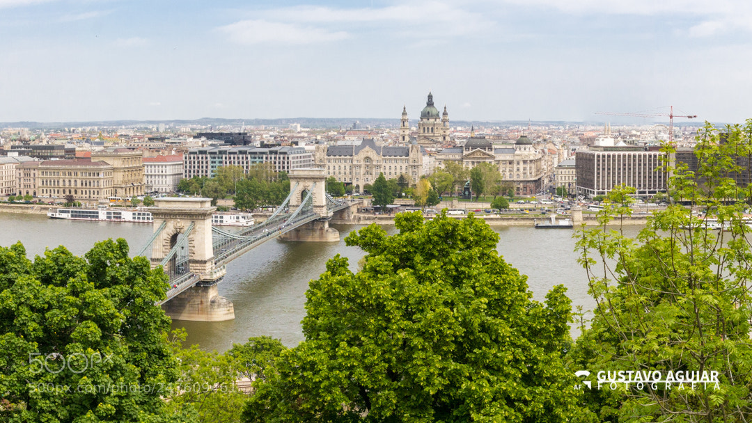 Canon EOS 60D sample photo. Chain bridge - budapest photography