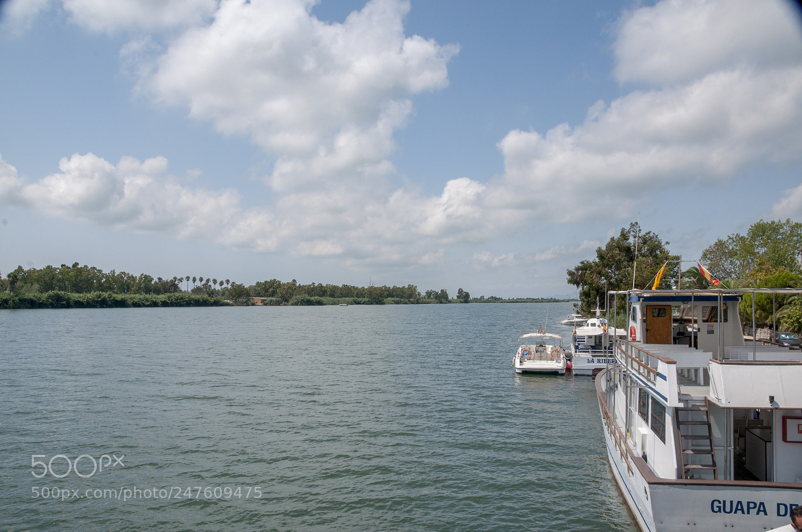 Nikon D300S sample photo. Delta ebro photography