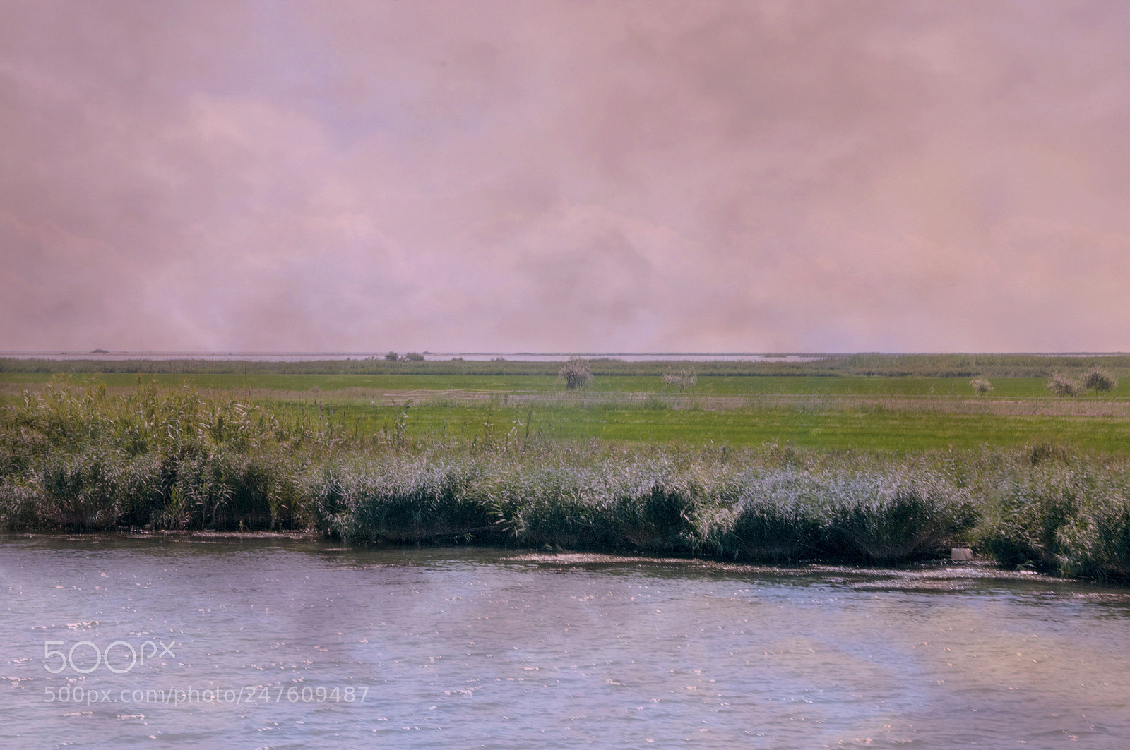 Nikon D300S sample photo. Delta ebro photography