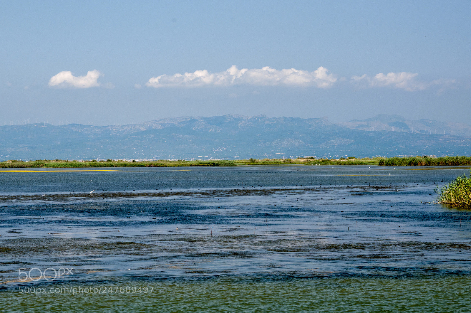 Nikon D300S sample photo. Delta ebro photography