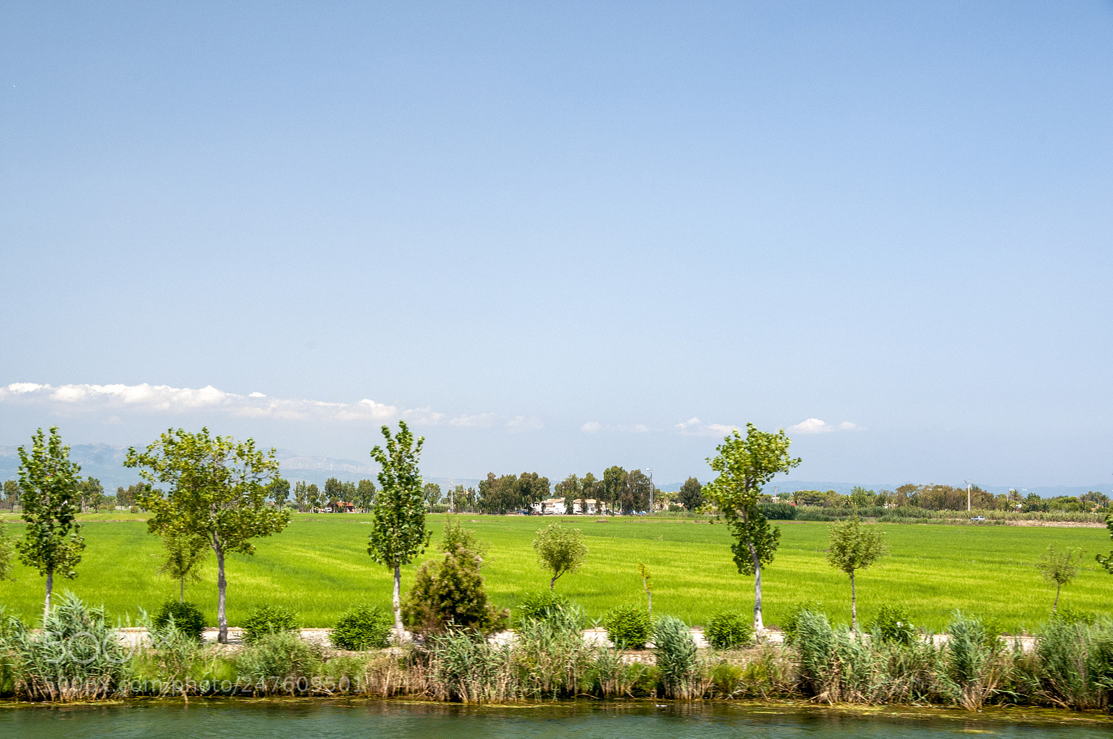 Nikon D300S sample photo. Delta ebro photography