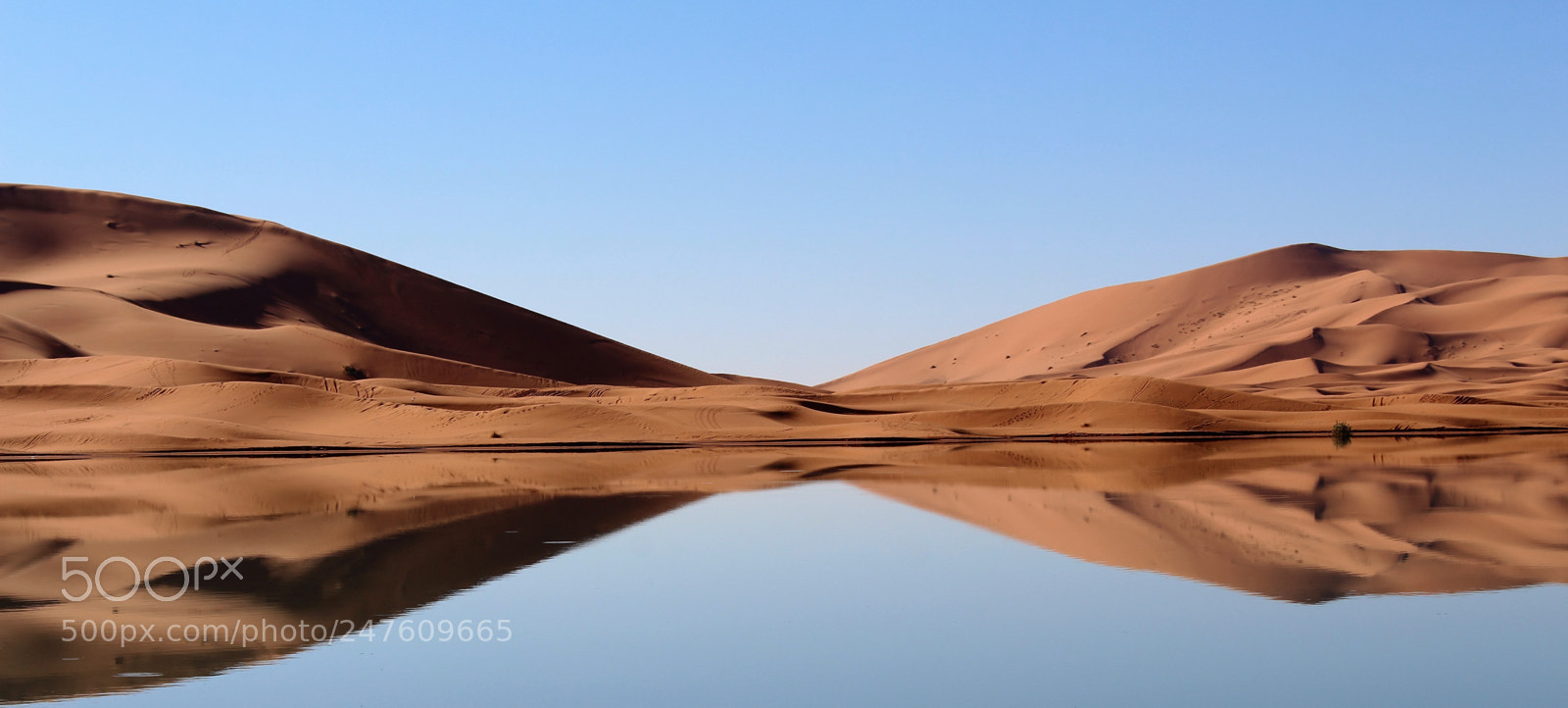 Canon EOS 700D (EOS Rebel T5i / EOS Kiss X7i) sample photo. The dune photography