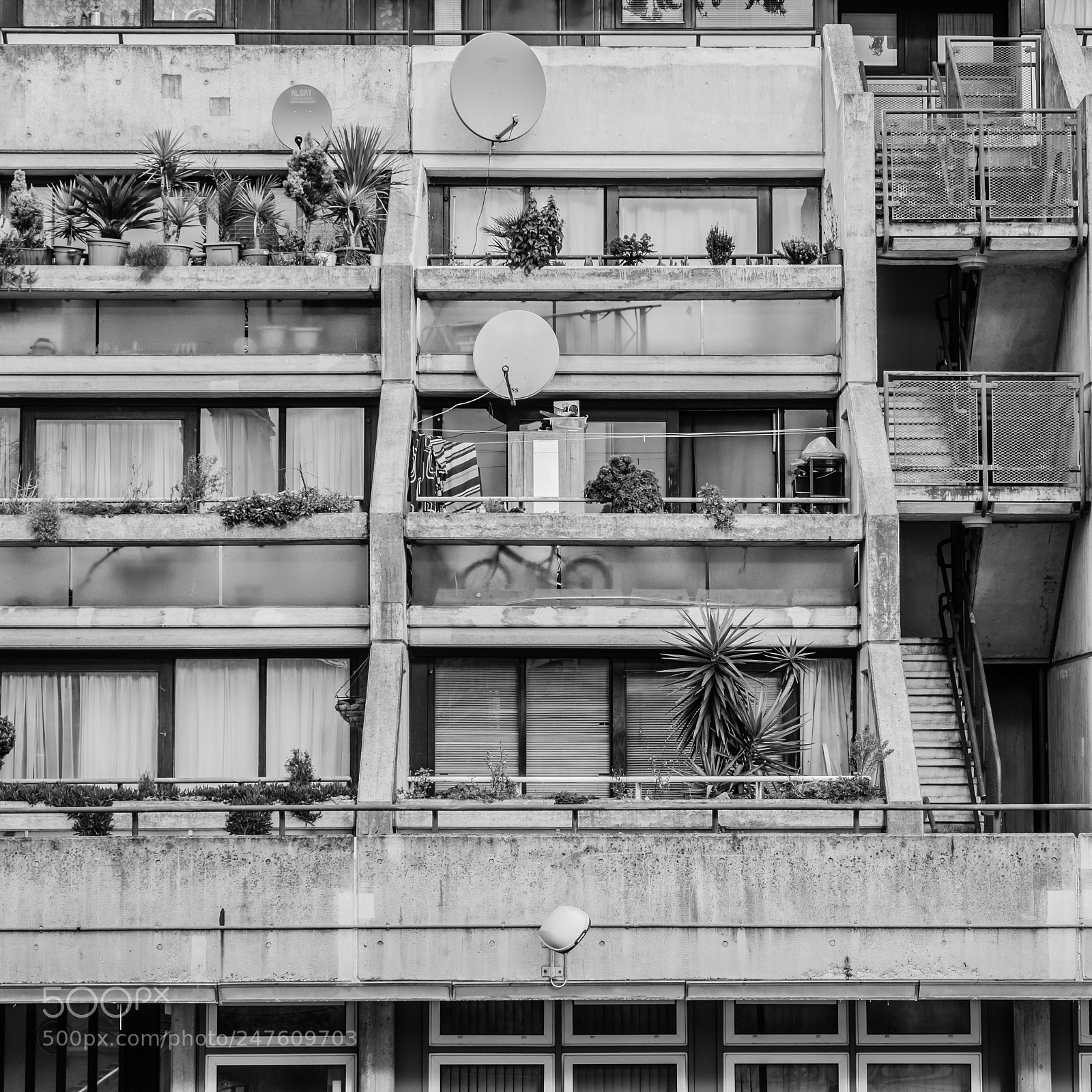 Fujifilm X-T2 sample photo. Alexandra and ainsworth estate photography