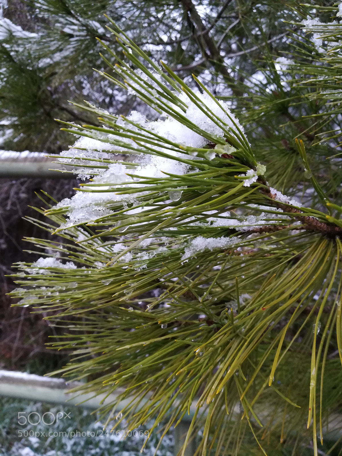 HUAWEI PRA-LX1 sample photo. Nieve photography