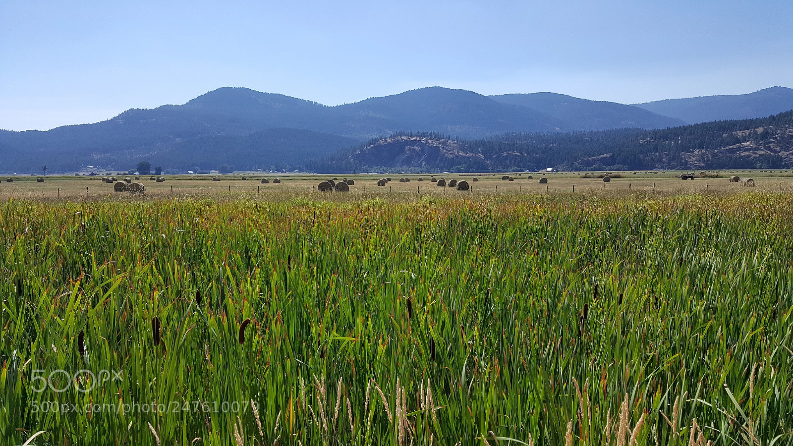 Samsung Galaxy Note5 sample photo. Was taken in colville photography