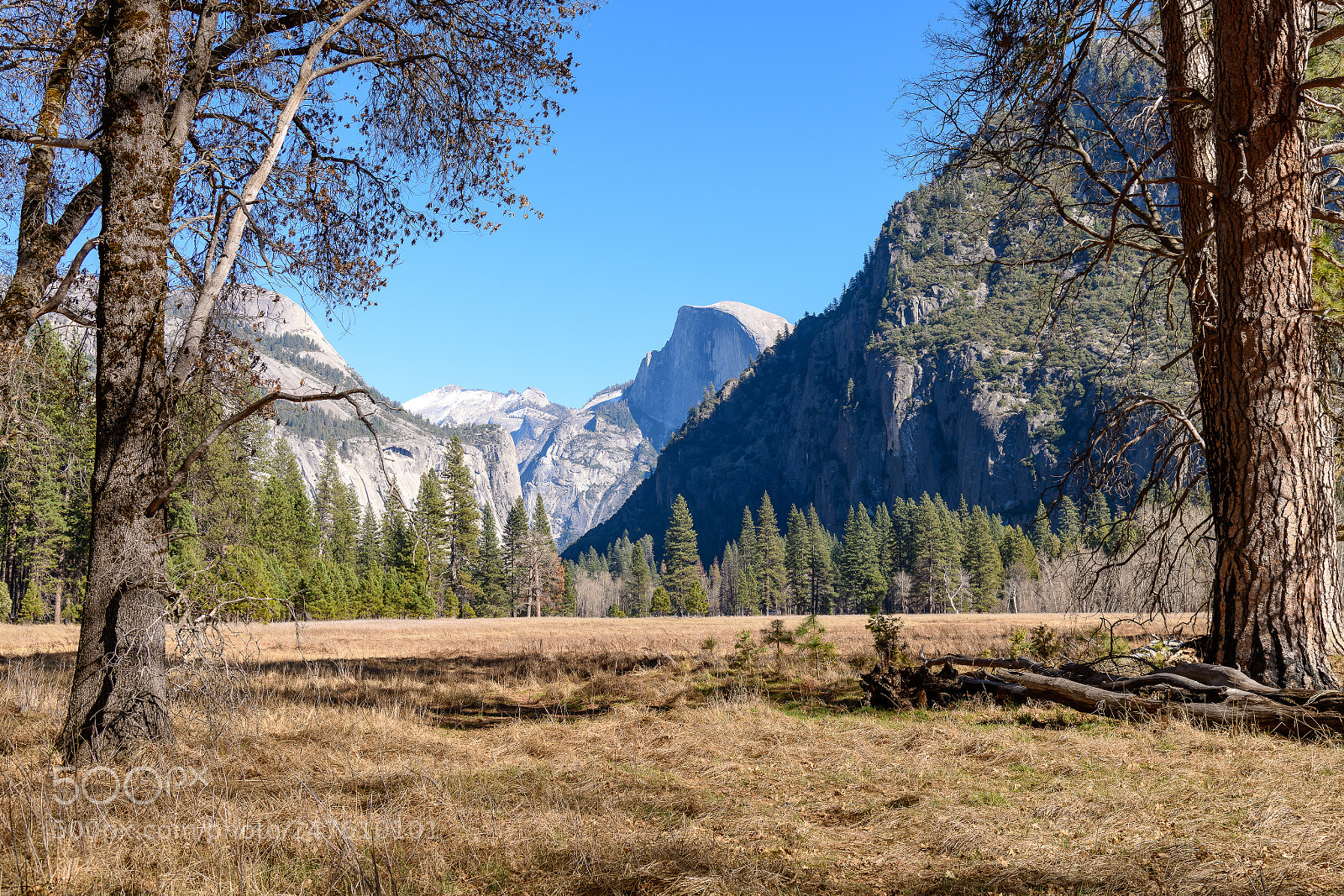 Nikon D850 sample photo. Halfdome !! photography
