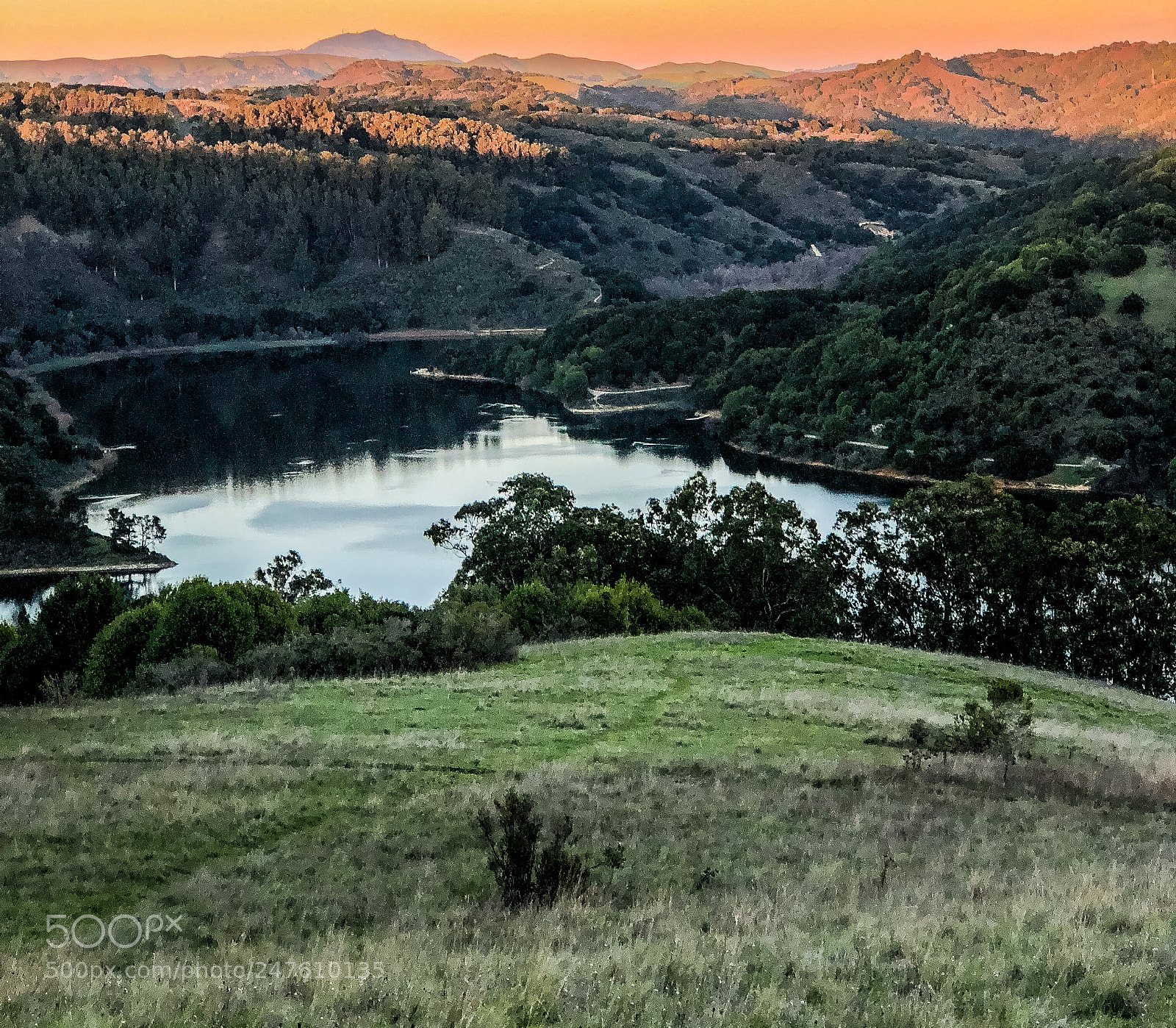 Apple iPhone 8 Plus sample photo. Lake chabot at sunset photography