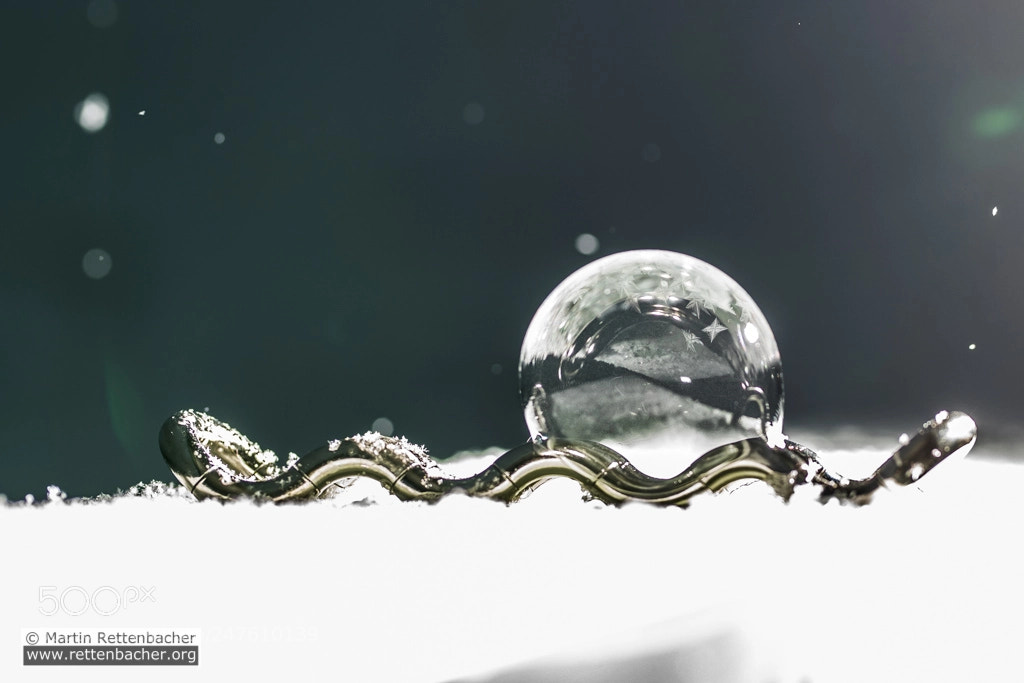 Canon EOS 5D Mark IV sample photo. Frozen bubble photography
