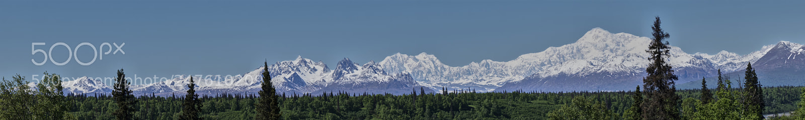 Sony a7R II sample photo. Alaska, denali photography