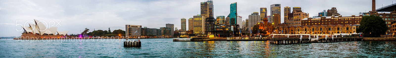 Olympus PEN-F sample photo. Sydney harbor : nsw : australia photography