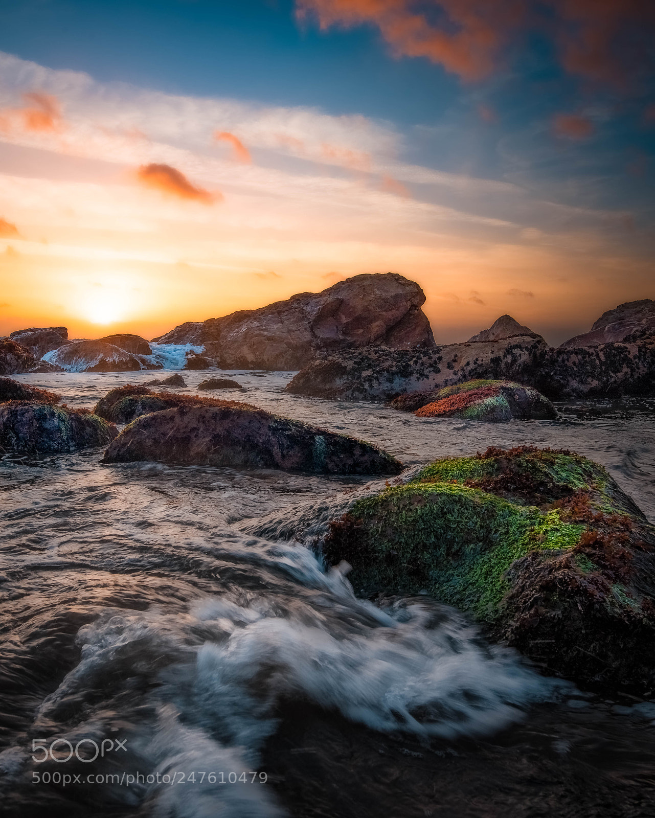 Nikon D810 sample photo. Come with me photography