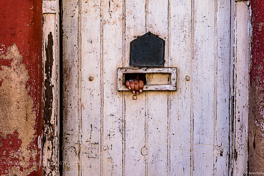 Nikon D810 sample photo. Freedom photography