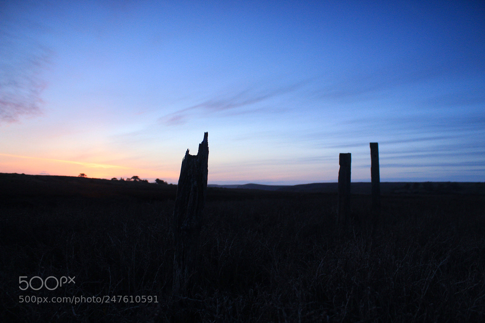 Canon EOS 1300D (EOS Rebel T6 / EOS Kiss X80) sample photo. Posts in the field photography