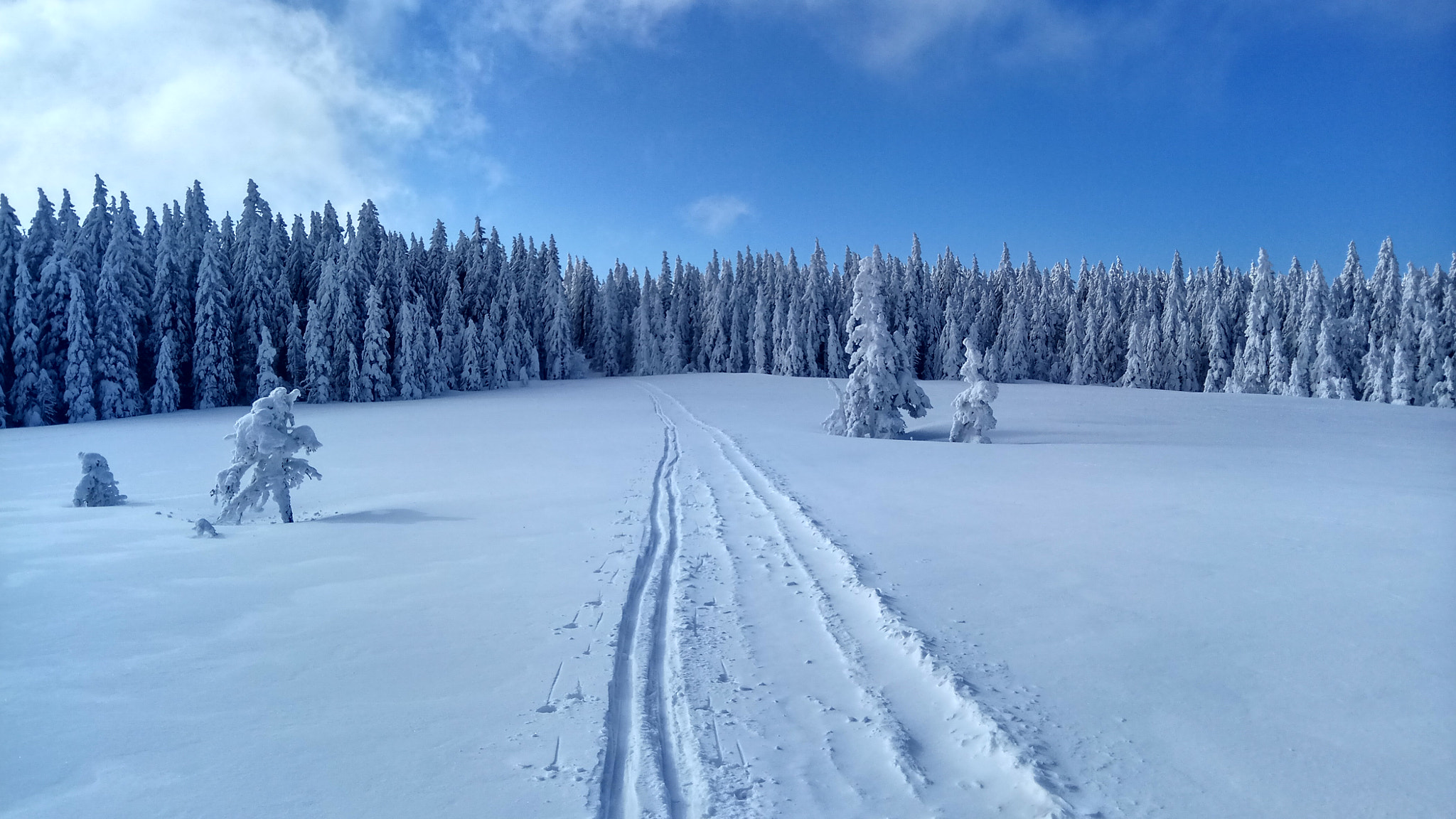 Xiaomi Redmi Pro sample photo. Winter trails. photography