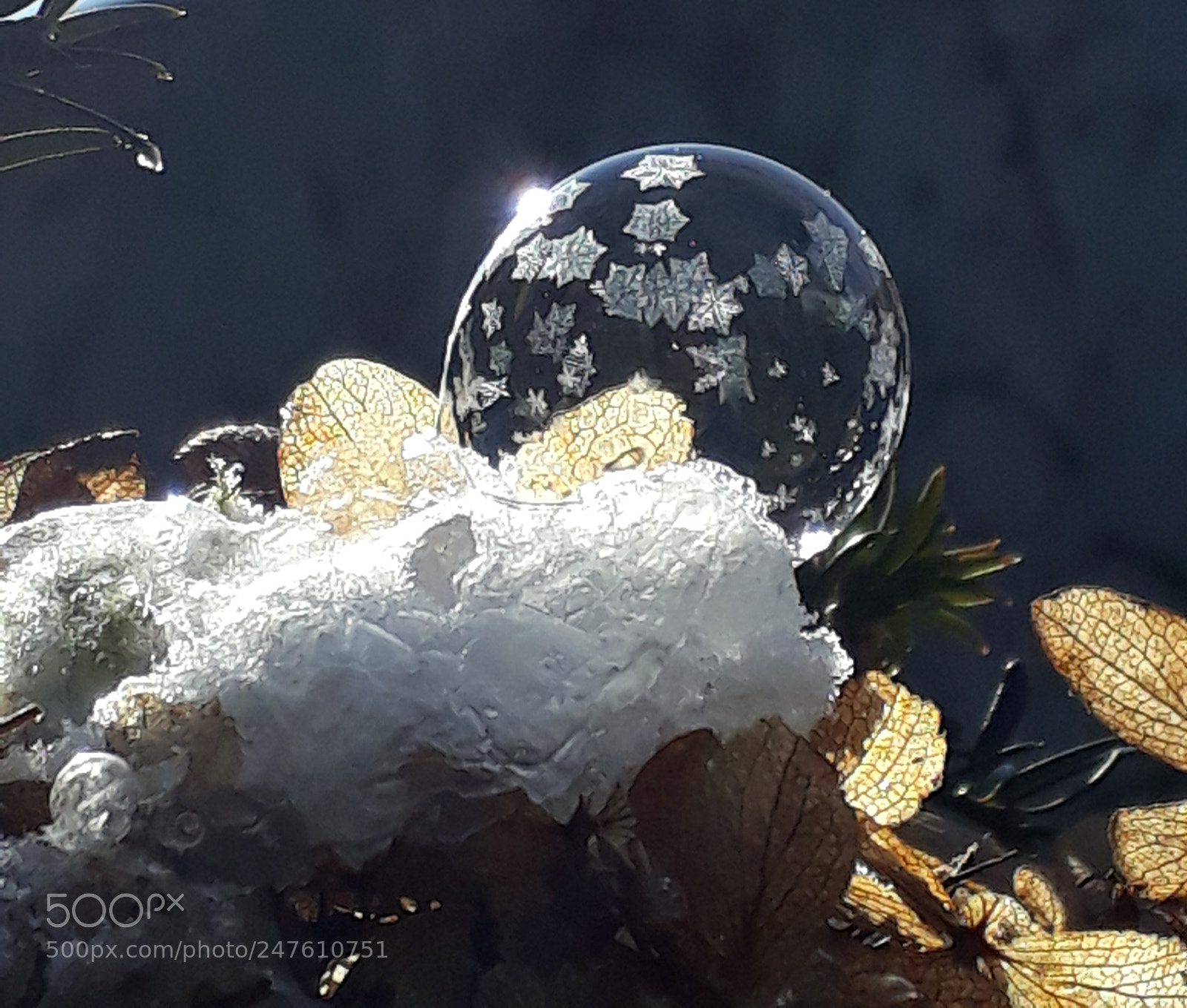 Samsung Galaxy A3(2017) sample photo. ❄❄ photography