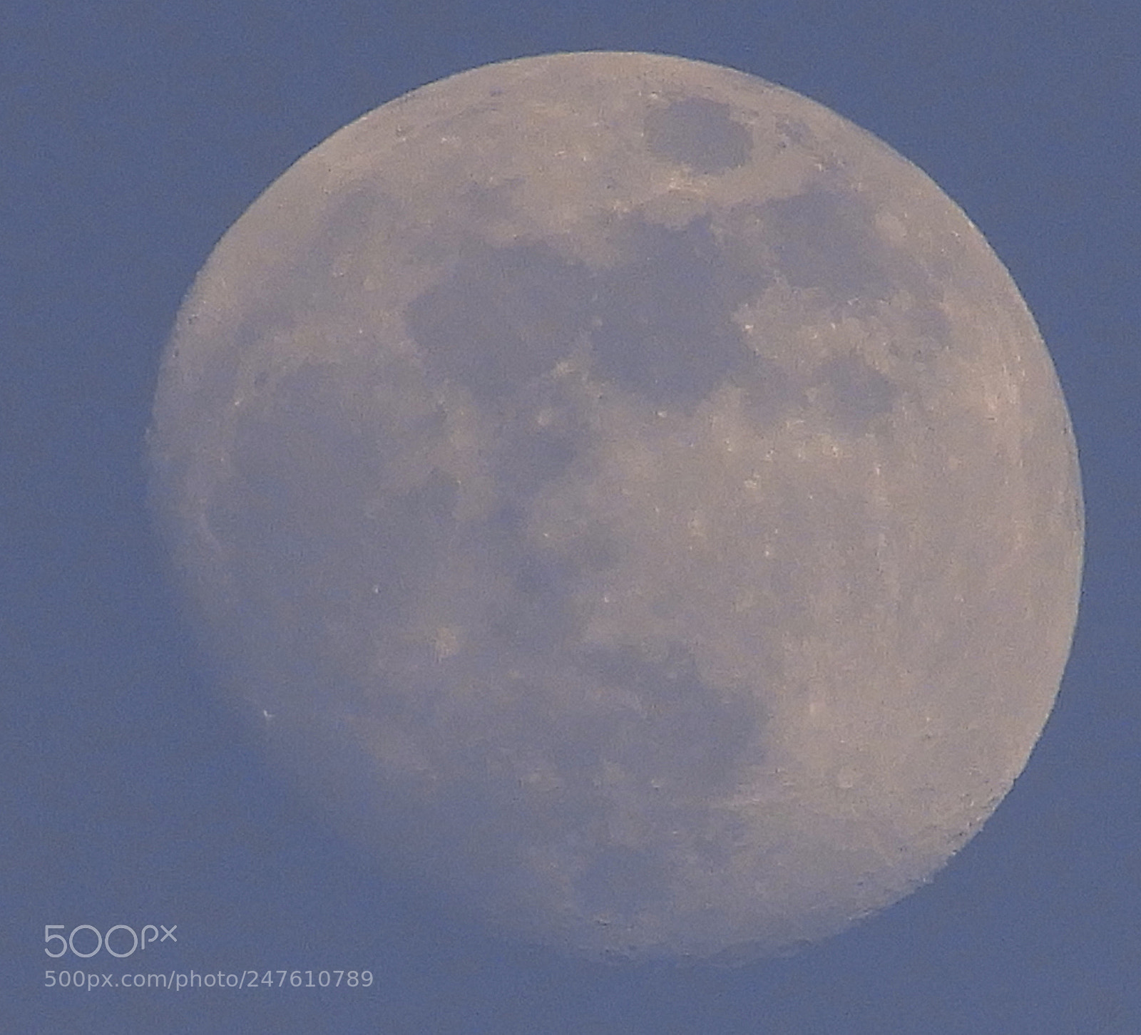 Nikon Coolpix B700 sample photo. Moon during daylight photography
