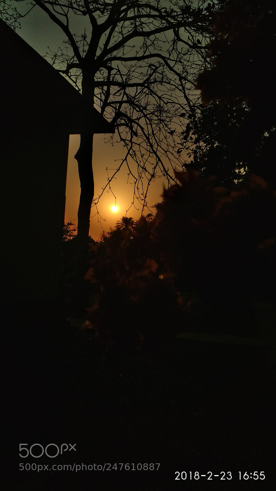 Xiaomi Redmi 4 Pro sample photo. Untitled photography