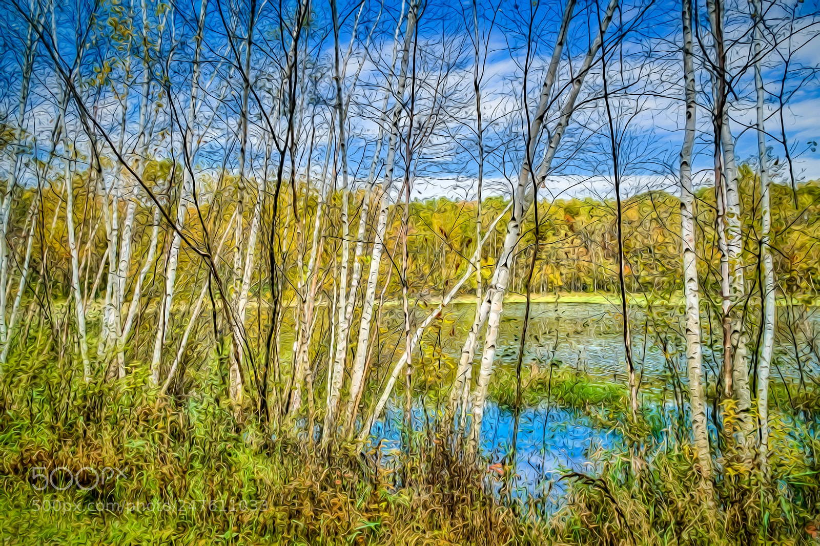 Sony a6300 sample photo. Lake and stand of photography