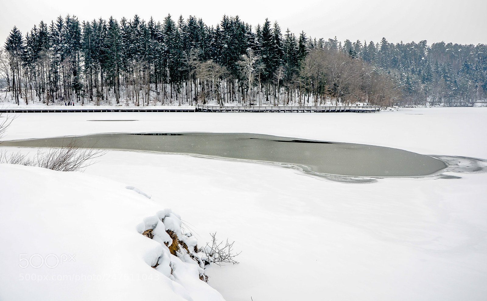 Nikon D5100 sample photo. Freezing photography