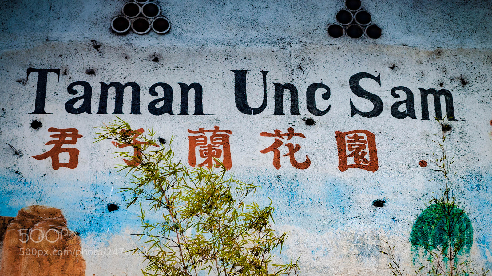 Nikon D5000 sample photo. Random shots photography