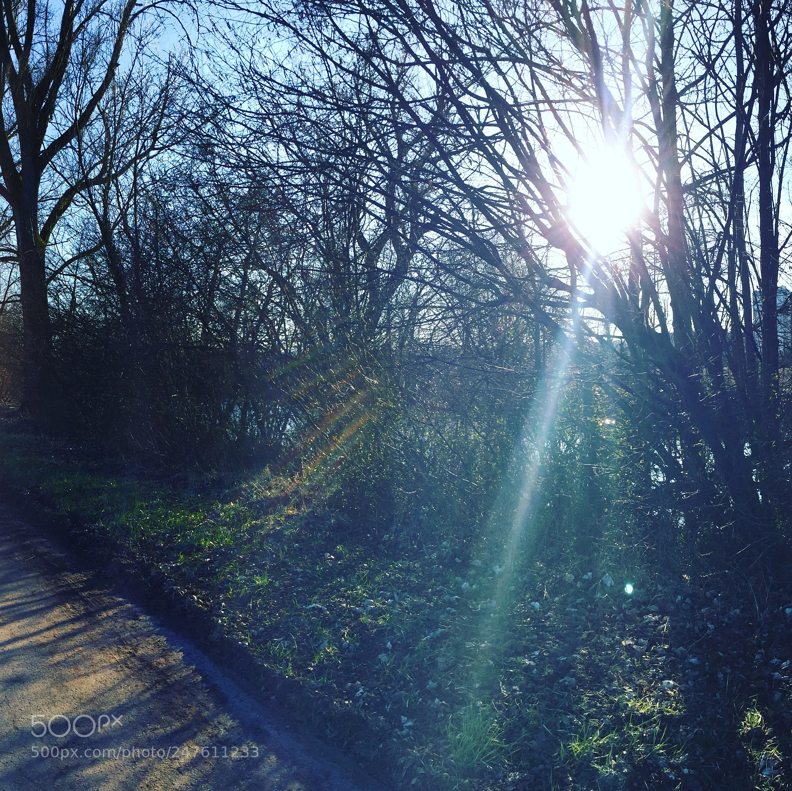 Apple iPhone 6 sample photo. Untitled photography