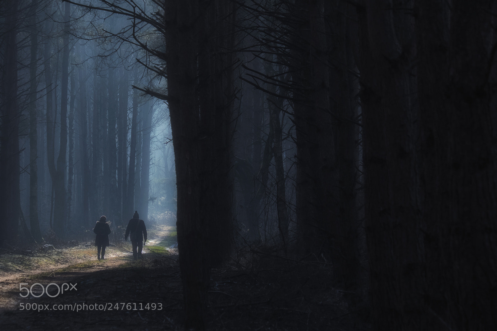 Fujifilm X-E2 sample photo. Winter-kampinos national park photography