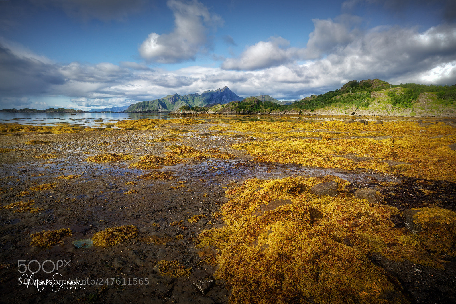Sony a7R II sample photo. Vestvågøya photography