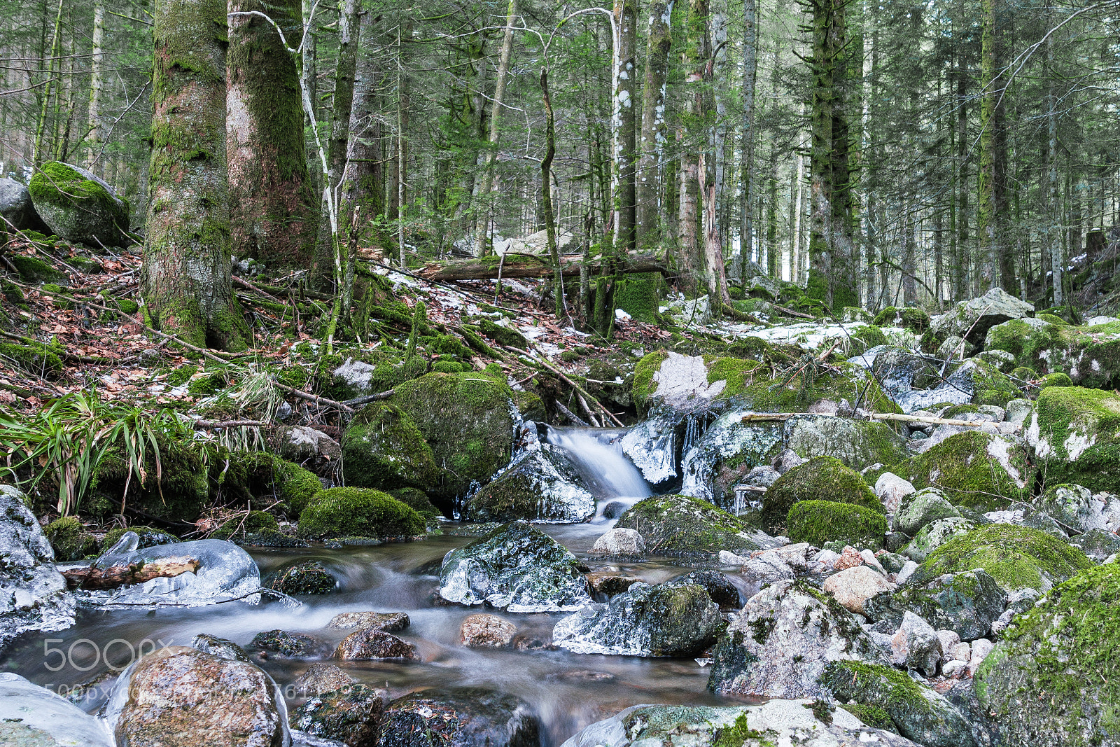Sony a7R II sample photo. The stream is freezing ! photography