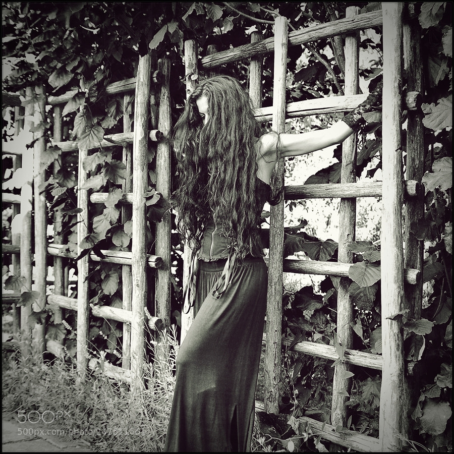 Nikon D700 sample photo. E.a.poe digital gothic art......ligeia photography