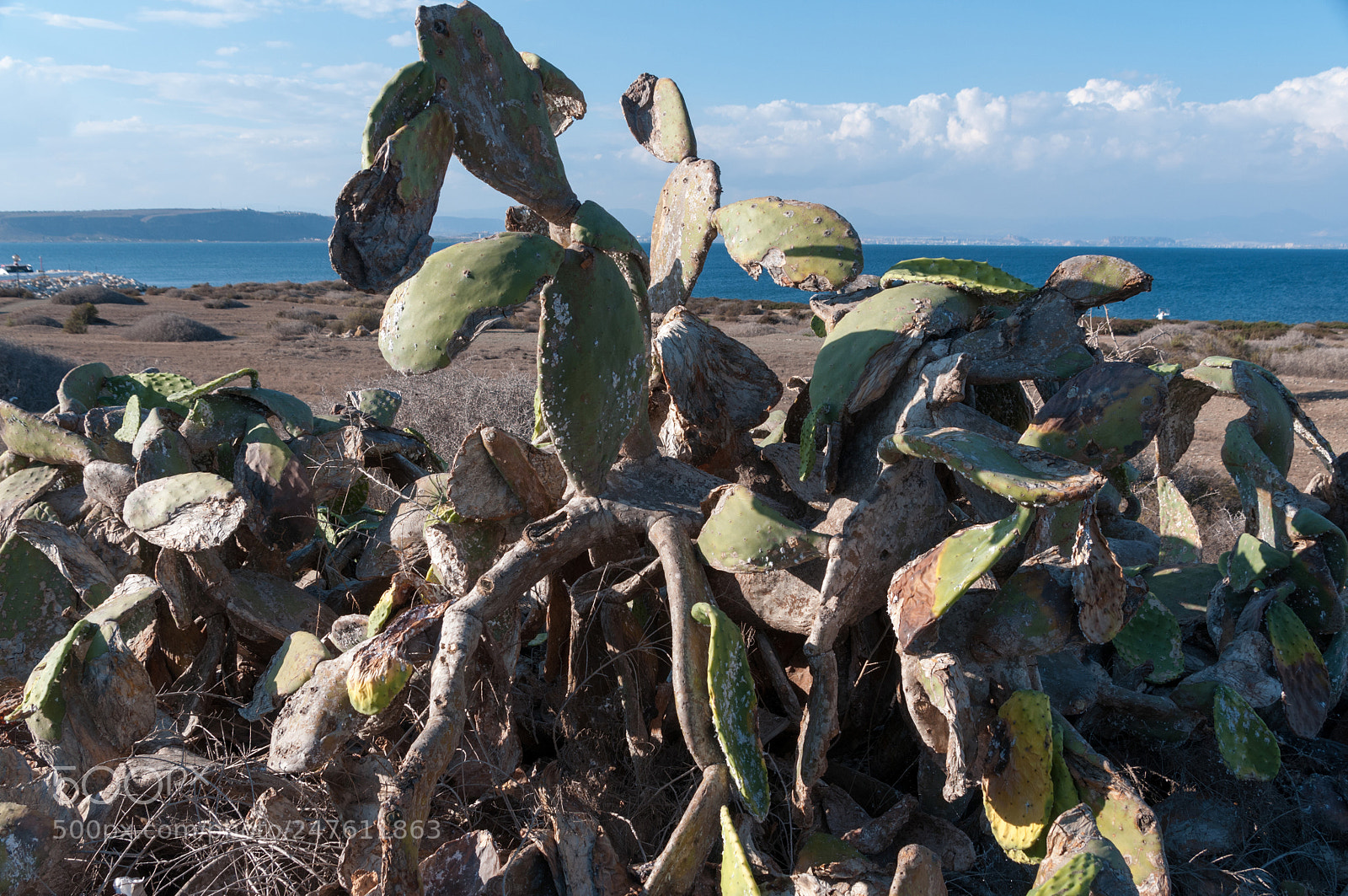 Nikon D300S sample photo. Isla tabarca photography