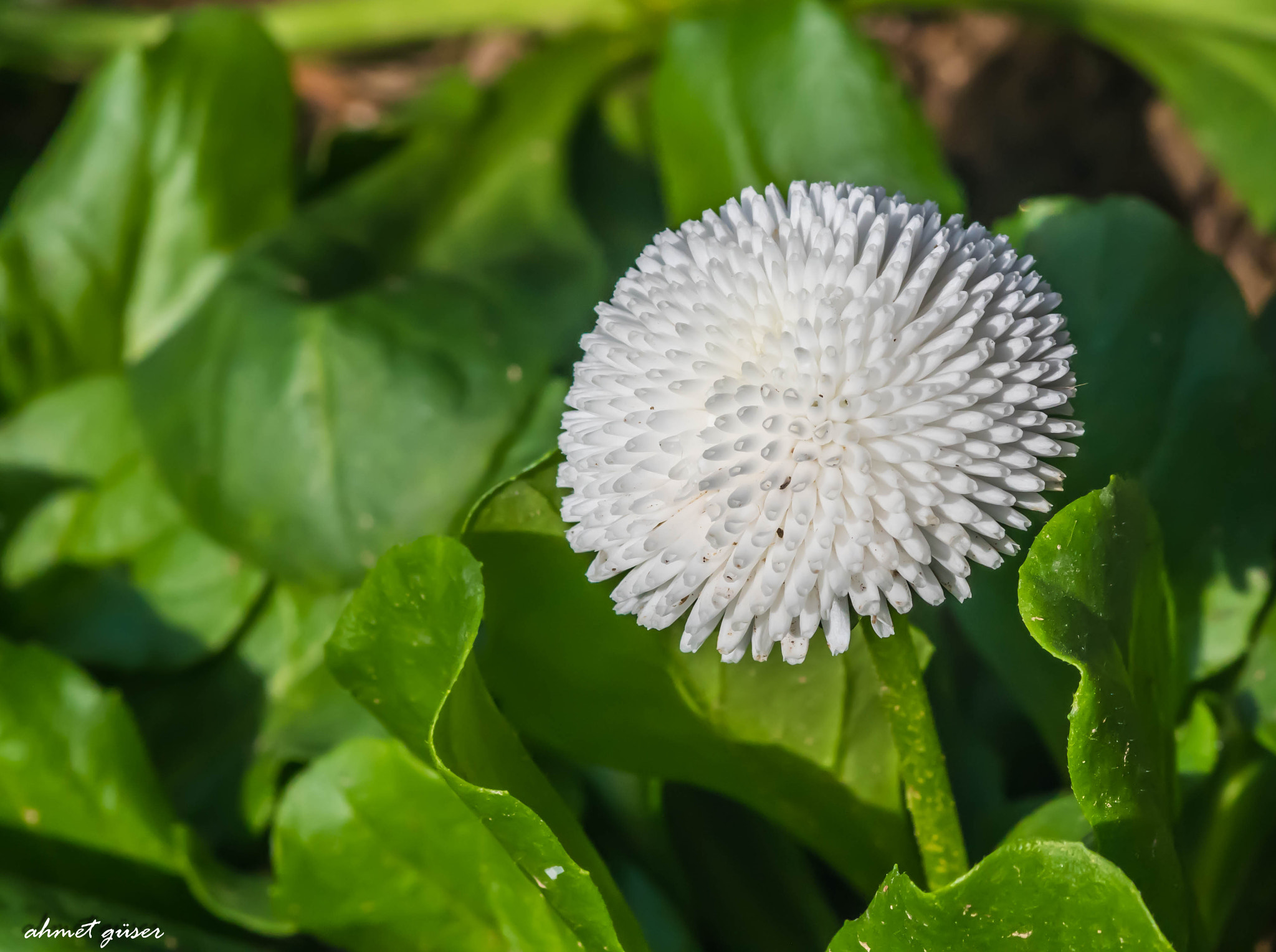 Pentax K-S1 sample photo. The art of god photography