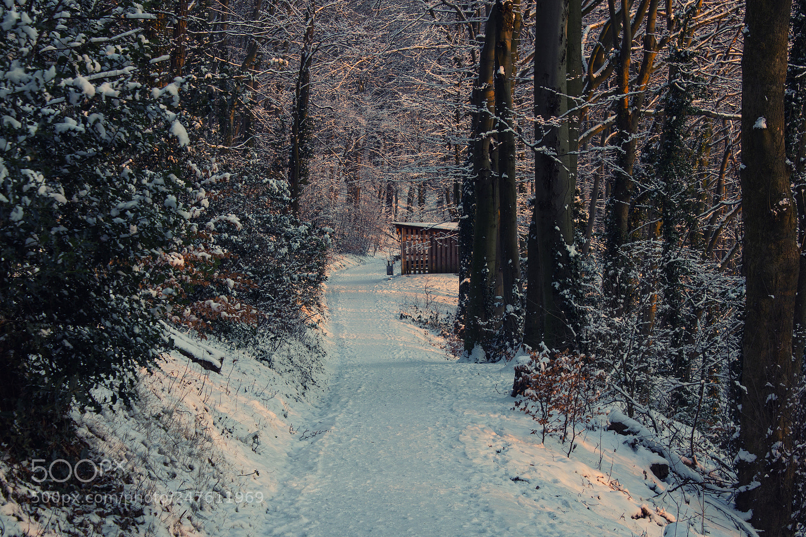 Canon EOS 550D (EOS Rebel T2i / EOS Kiss X4) sample photo. Snowfall in aachen photography