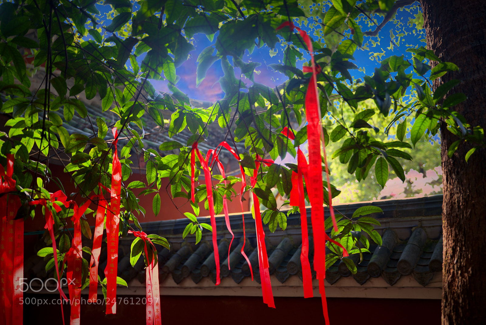 Nikon D800 sample photo. 香火盛地 photography