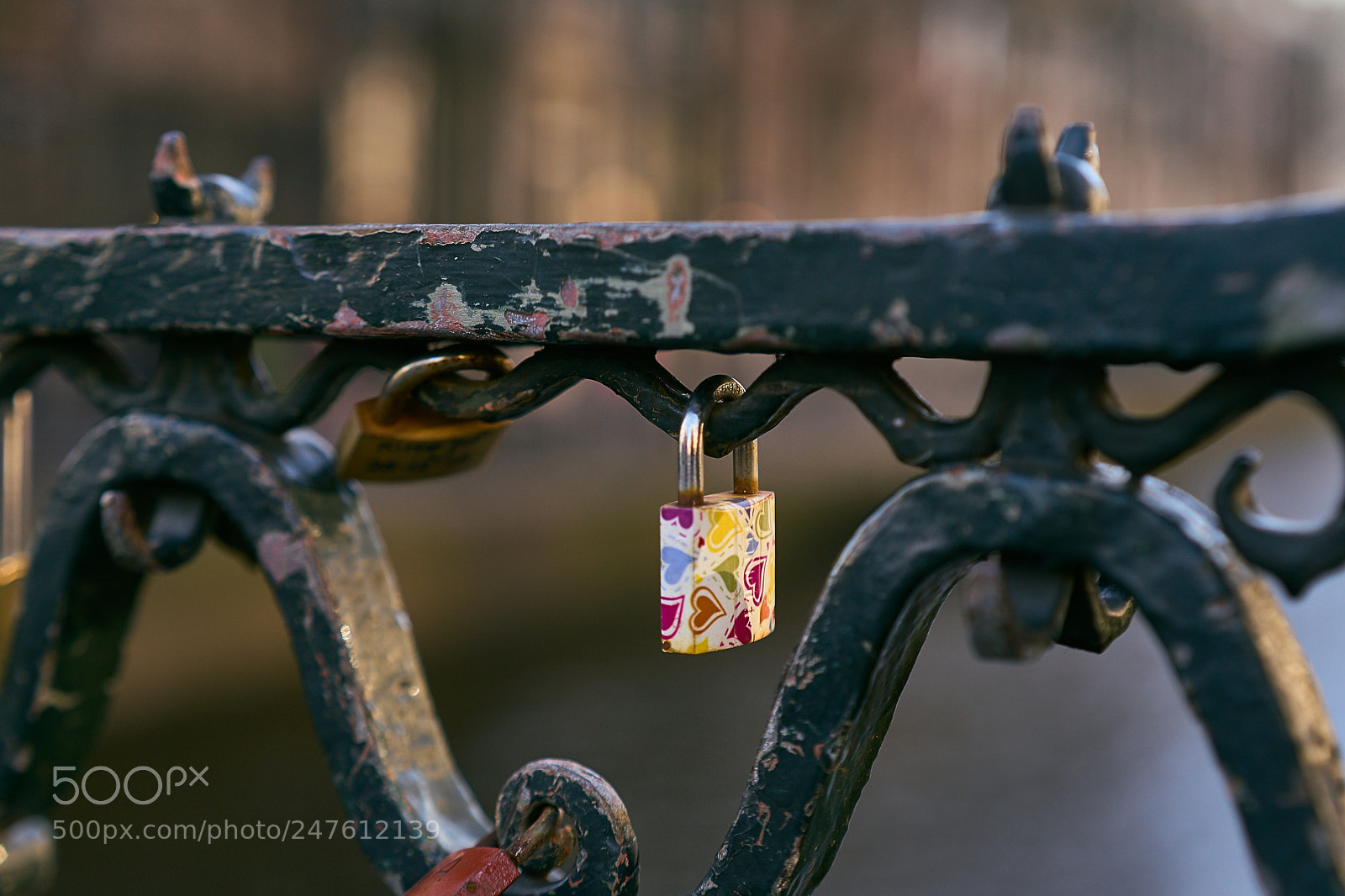 Sony a7 sample photo. Locks of love photography
