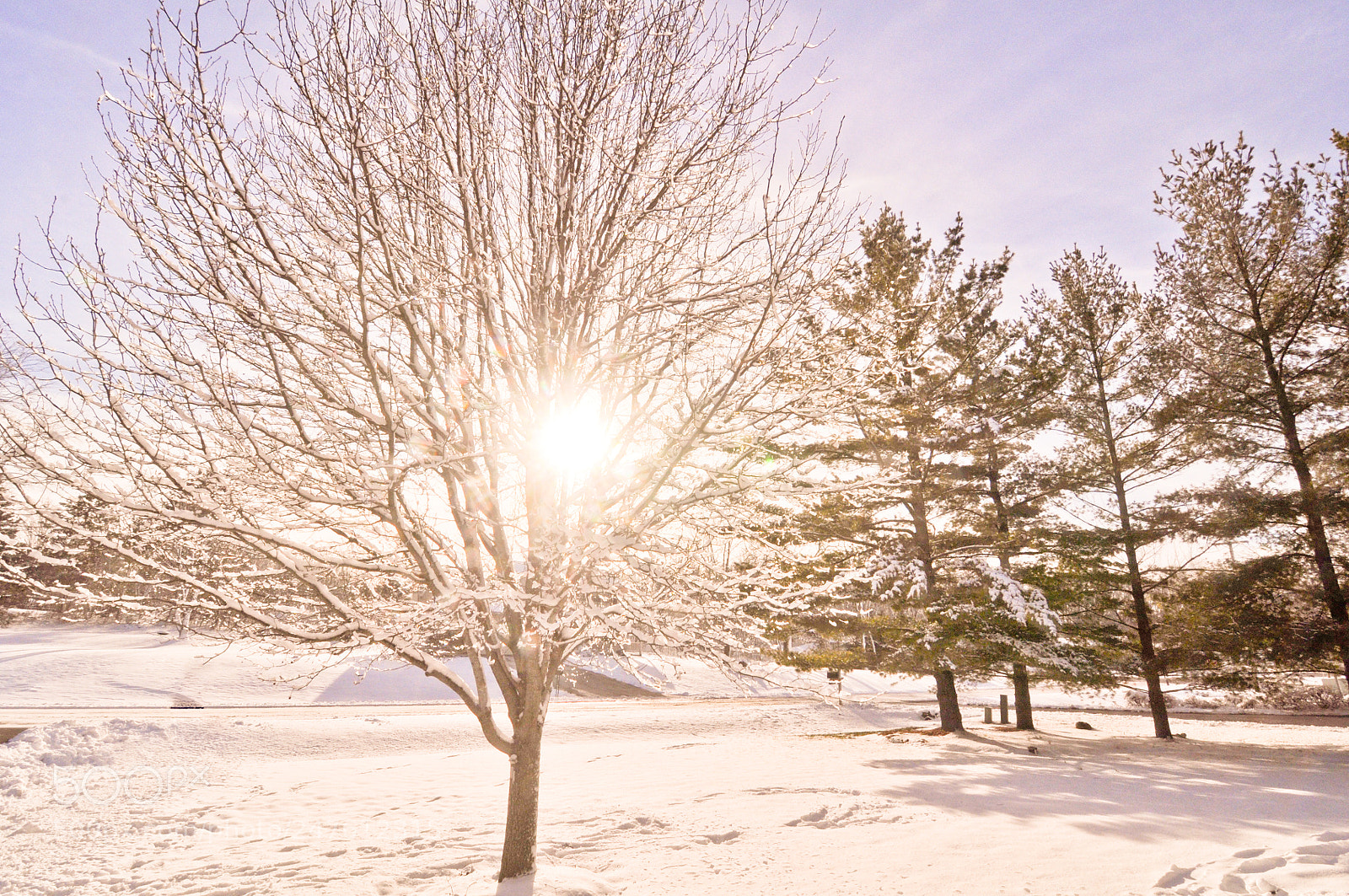 Nikon D90 sample photo. Sun and snow photography