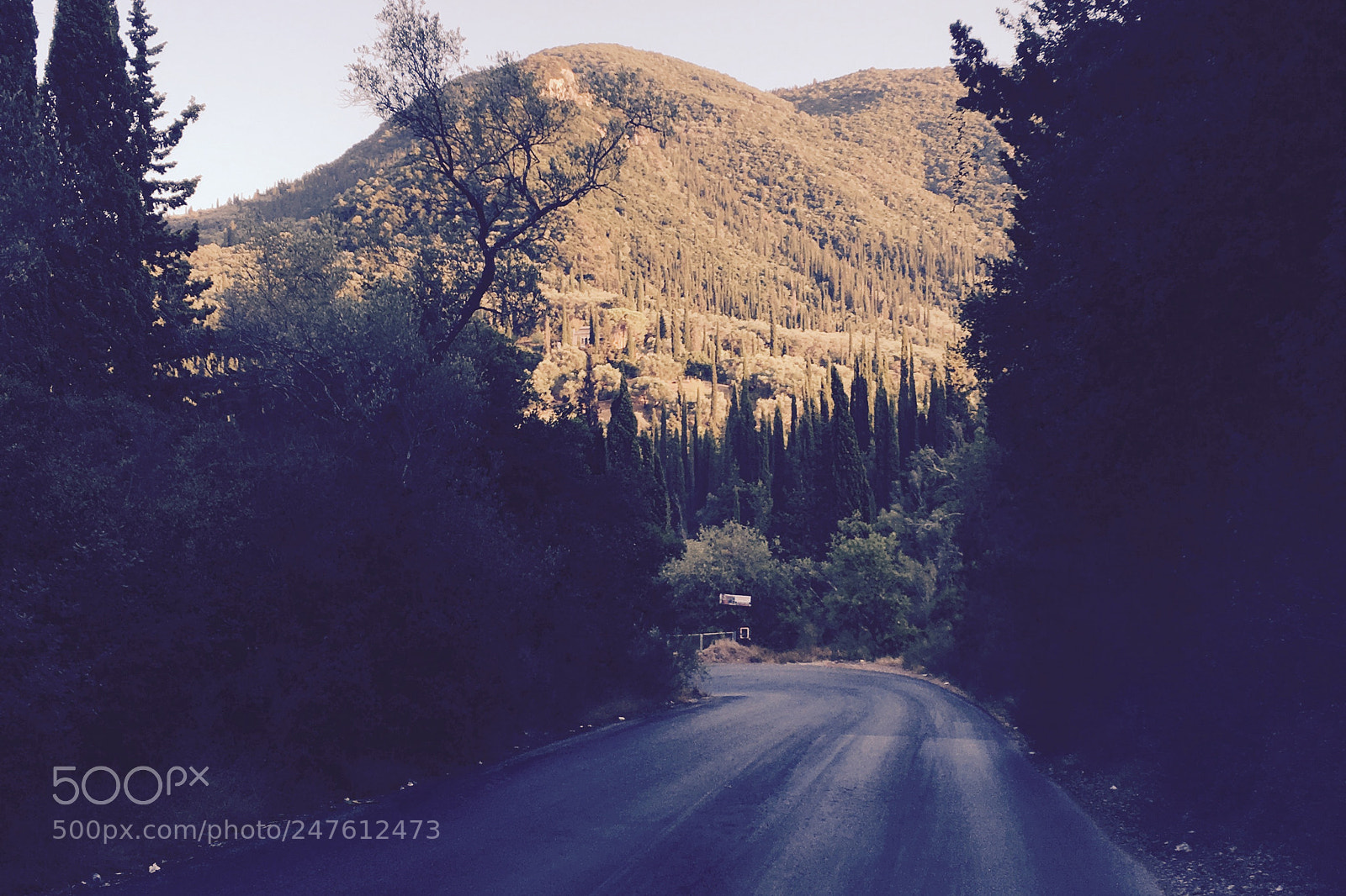 Apple iPhone 6s sample photo. Untitled photography