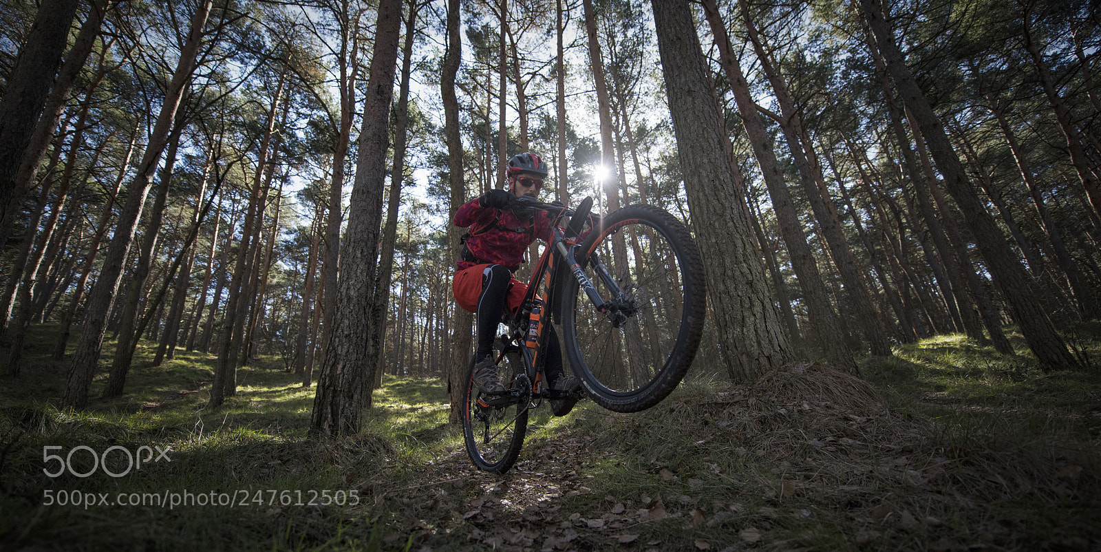 Nikon D810 sample photo. Mountainbike scott photography