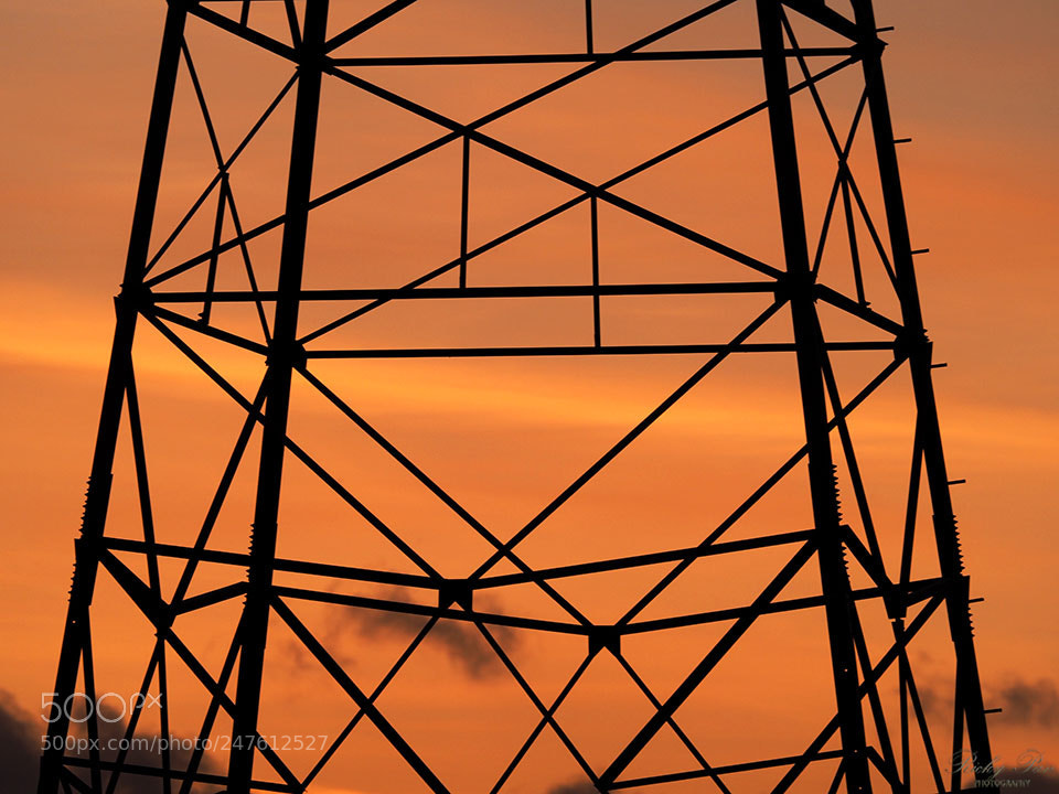 Olympus OM-D E-M1 Mark II sample photo. Power tower photography