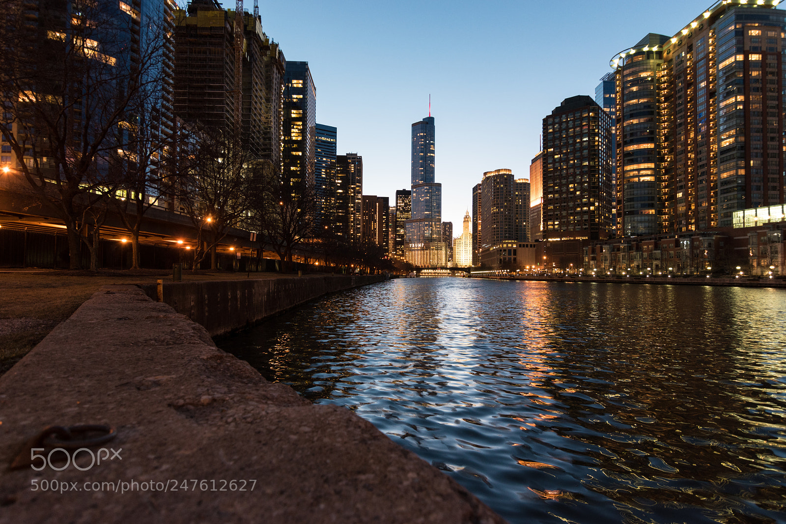 Nikon D5600 sample photo. Chicago photography