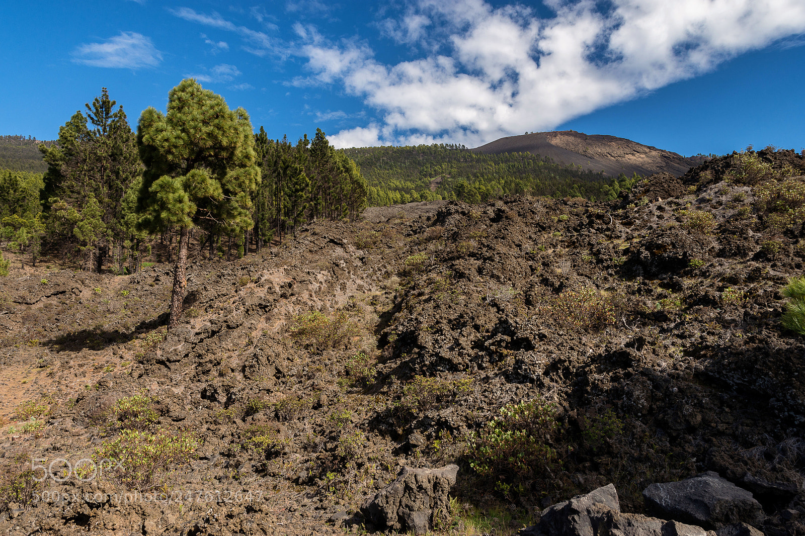 Nikon D7200 sample photo. Ruta de los volcanes photography