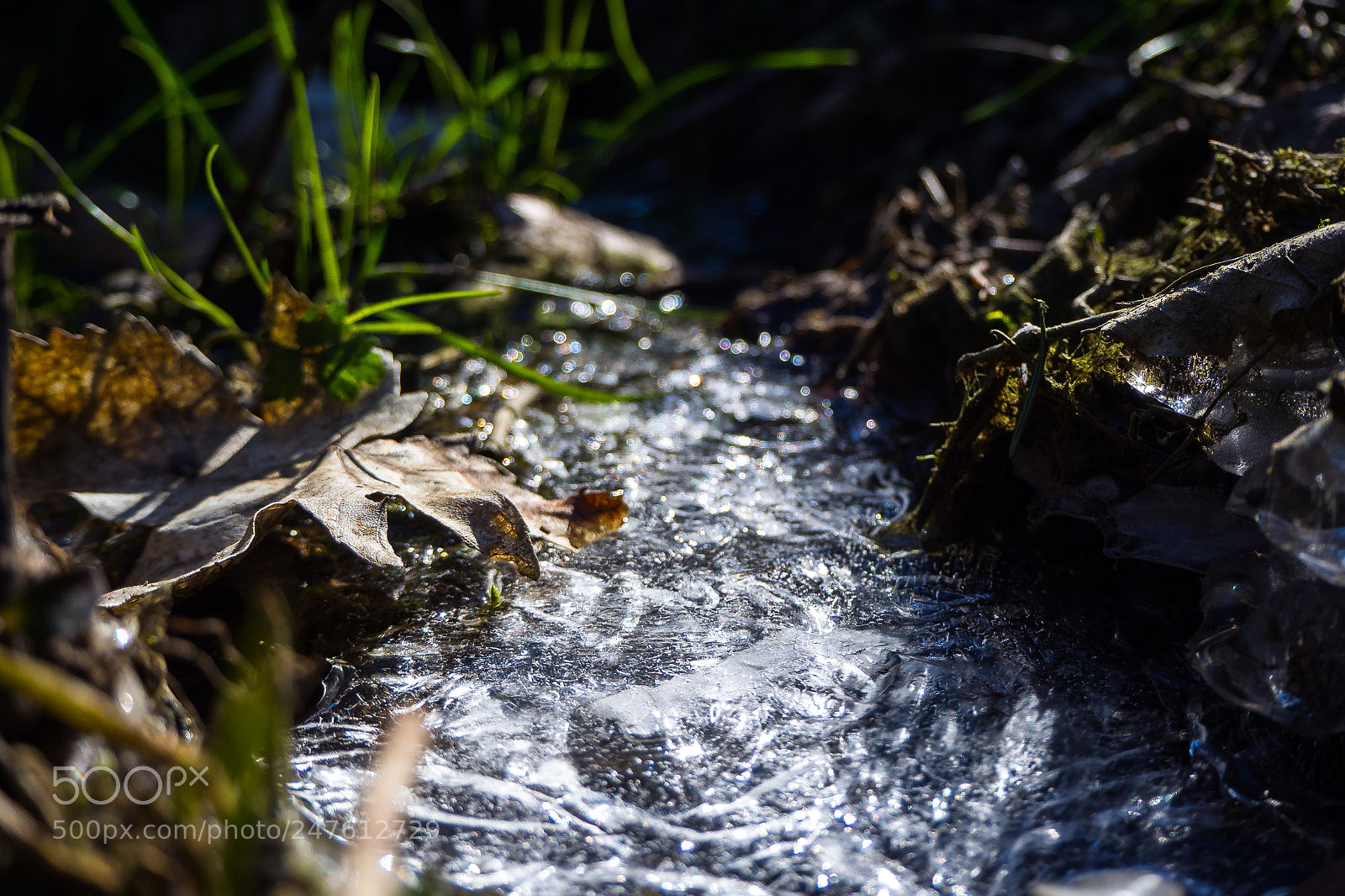Olympus OM-D E-M10 II sample photo. It's cold out here photography