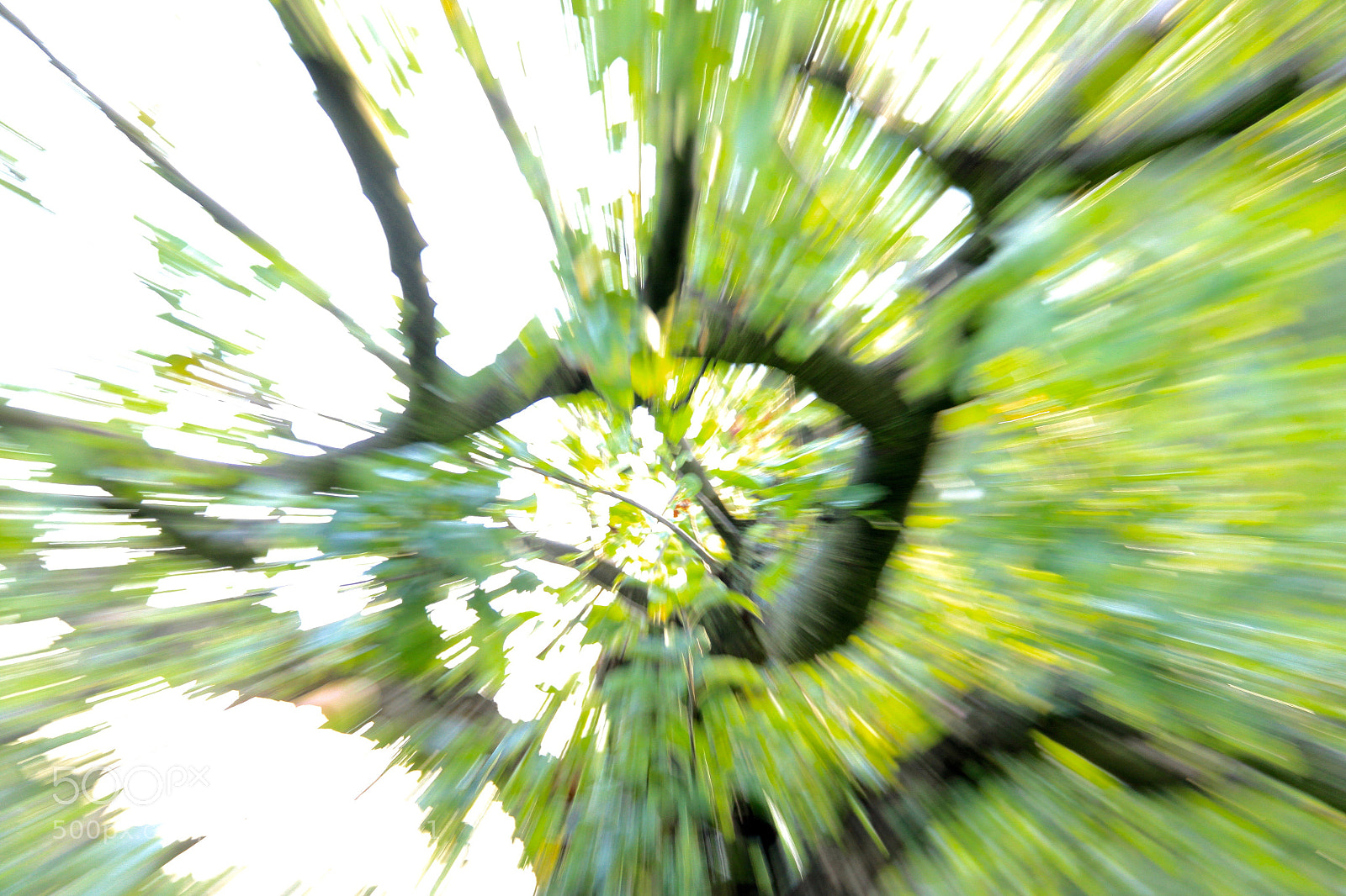 Canon EOS 50D sample photo. Inspired by van gogh photography