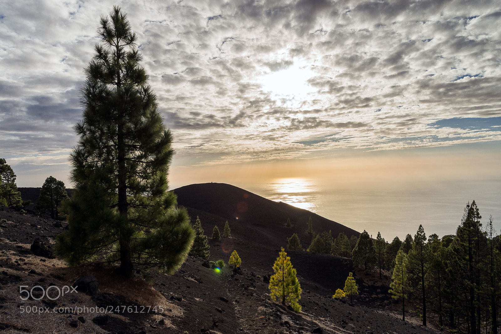 Nikon D7200 sample photo. Ruta de los volcanes photography