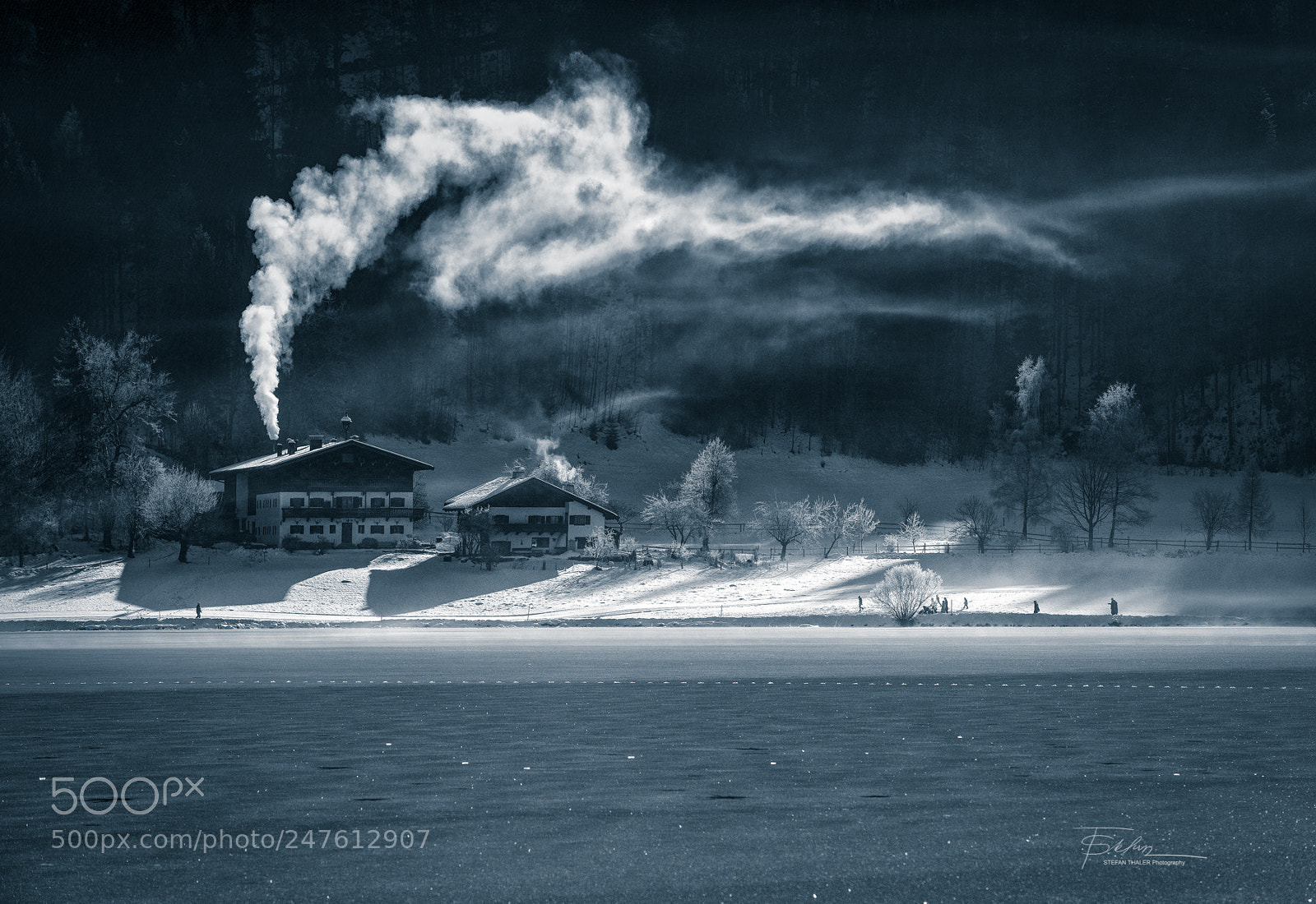 Nikon D850 sample photo. Cold winter day photography
