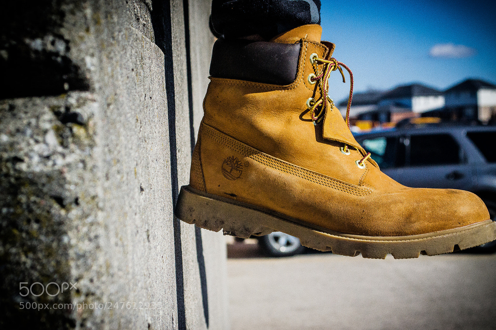 Nikon D3100 sample photo. Timberlands photography