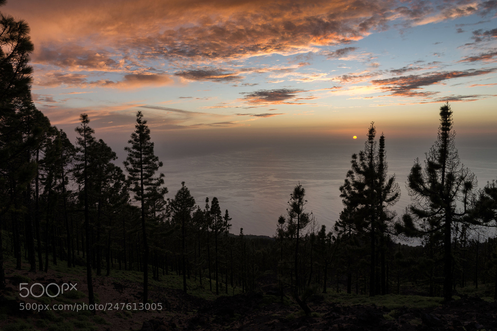 Nikon D7200 sample photo. Parque natural cumbra vieja photography
