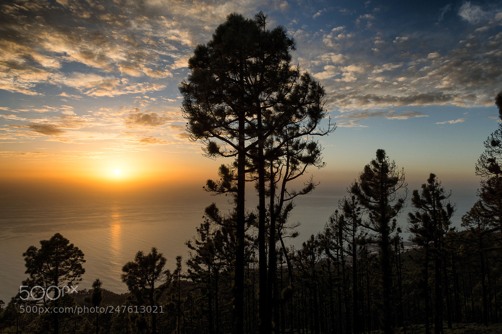 Nikon D7200 sample photo. Parque natural cumbra vieja photography