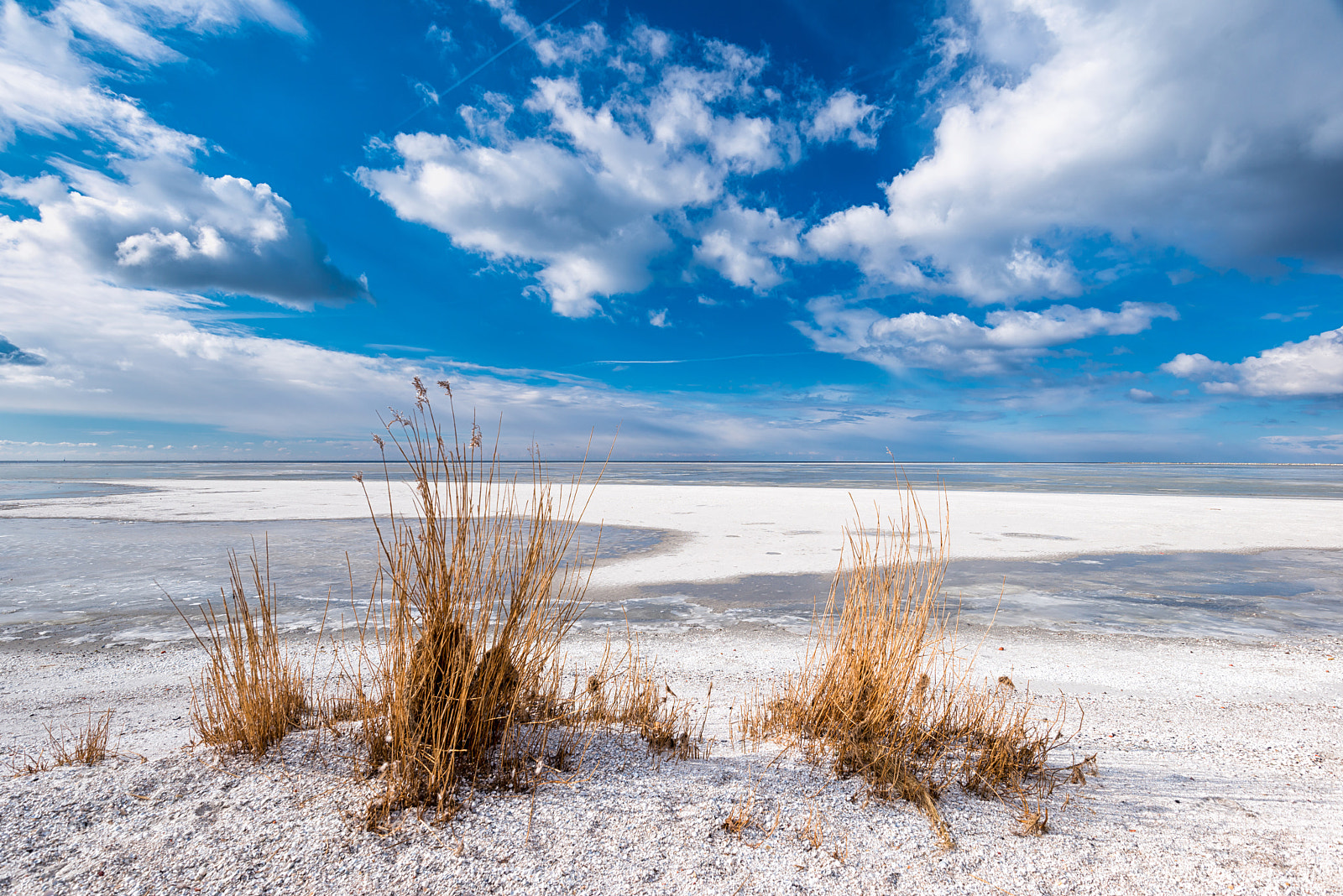 Nikon D800E sample photo. Winterbeach photography