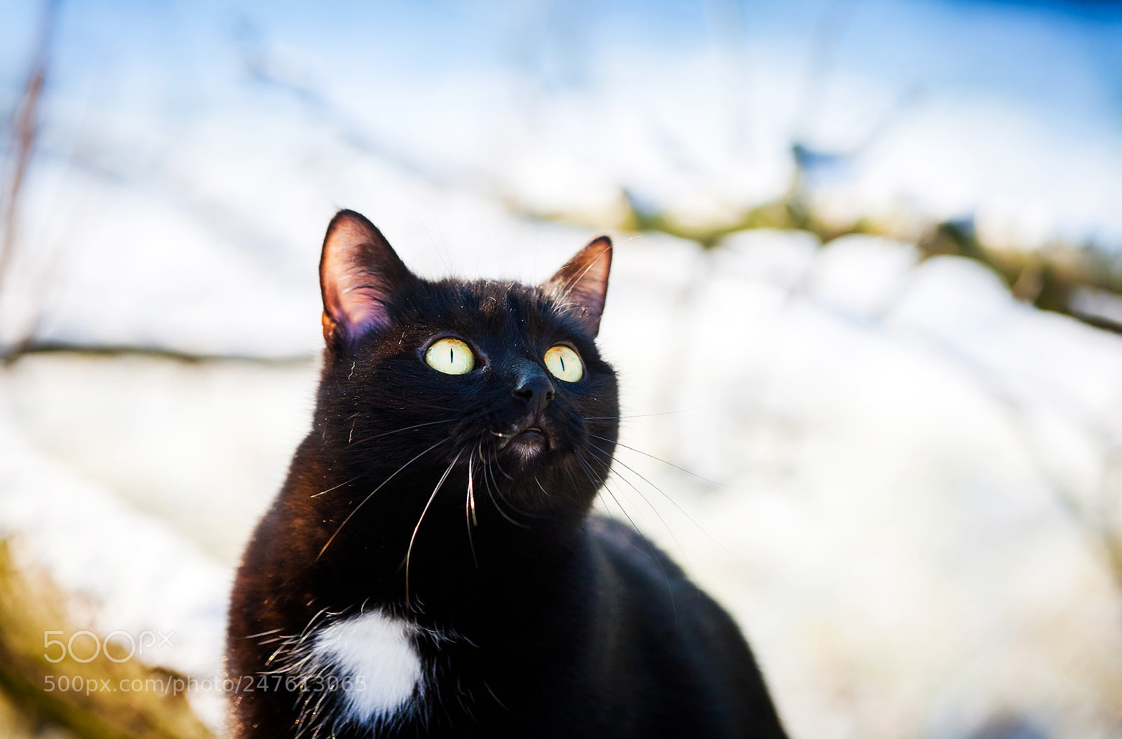 Canon EOS 5D sample photo. Have i seen a photography